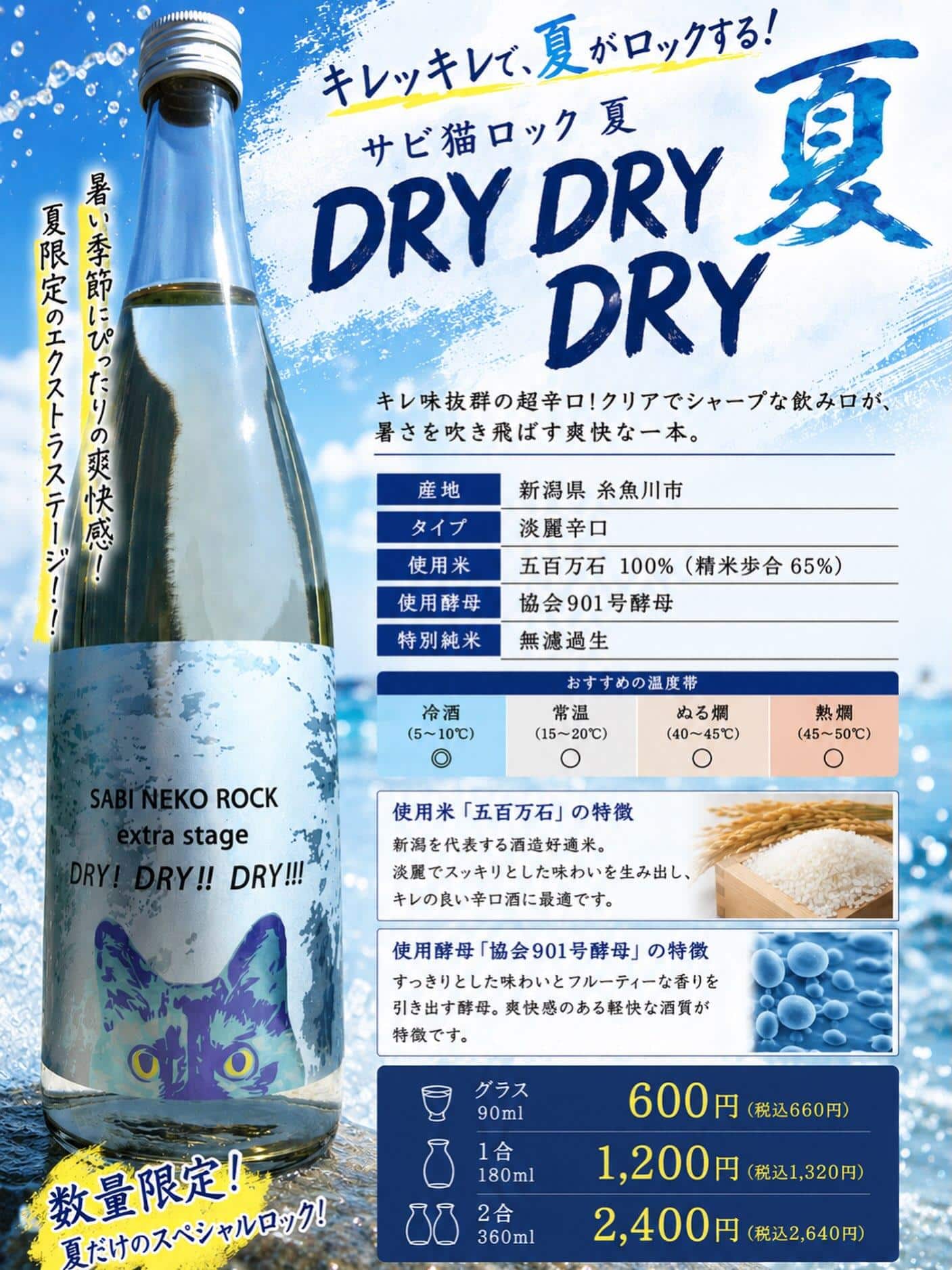 本日解禁!サビ猫ロック夏 Dry Dry Dry!
